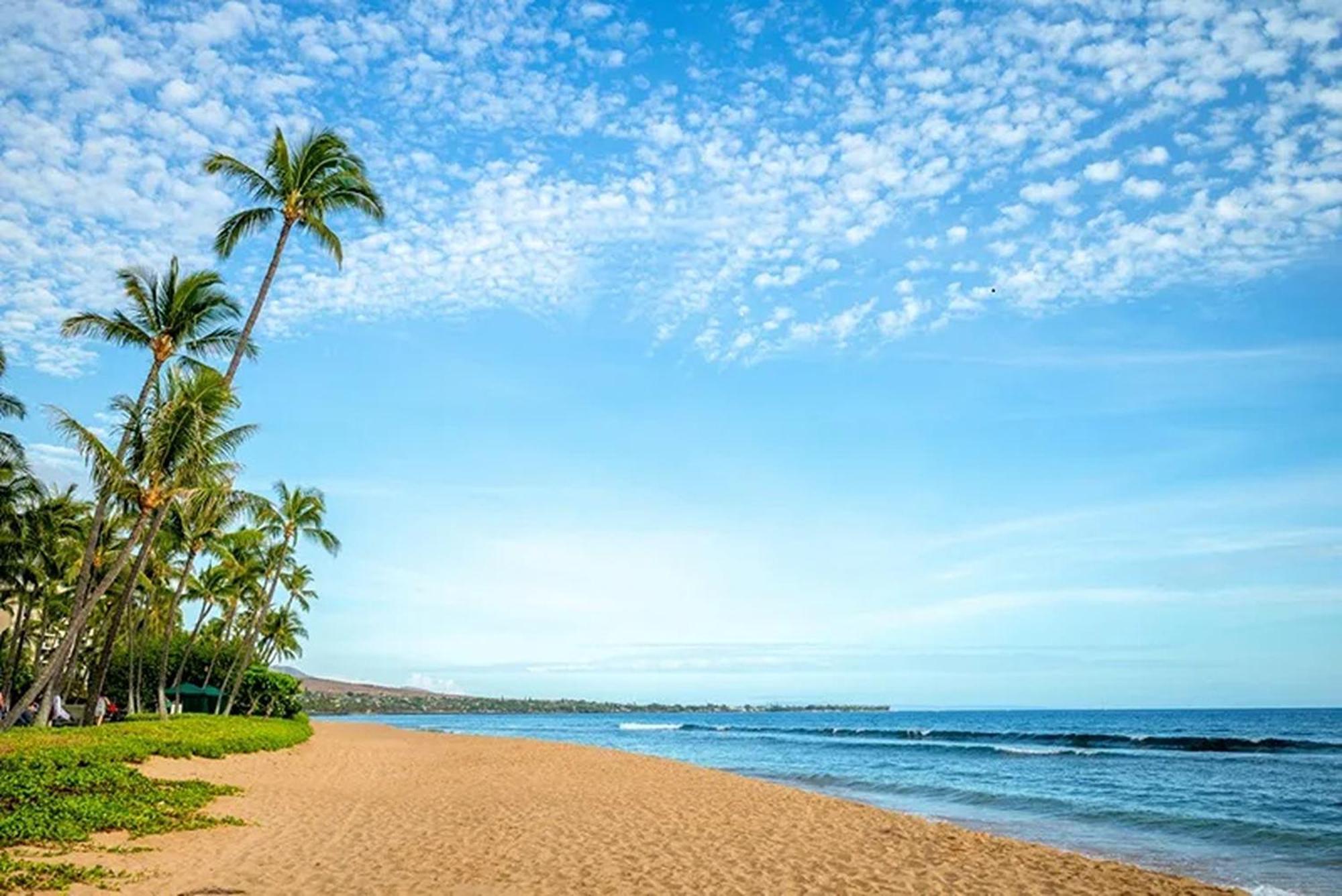 3Mins Walk To Beach! Laundry, Pool, Hot Tub & More Kihei Exteriör bild